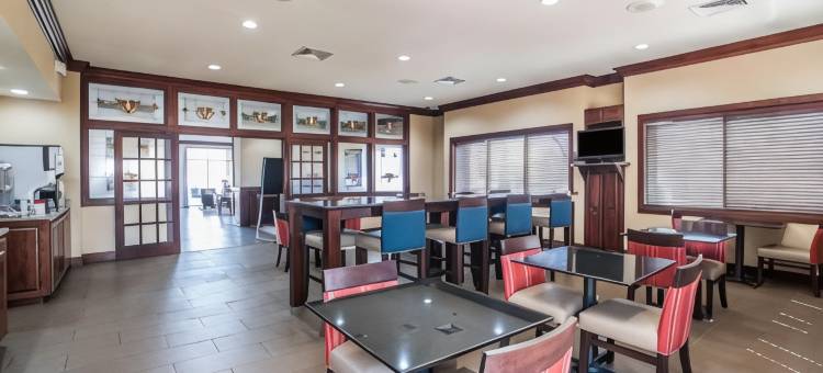 舒适套房酒店-哥伦比亚大学城(Comfort Suites Columbia - University Area)图片