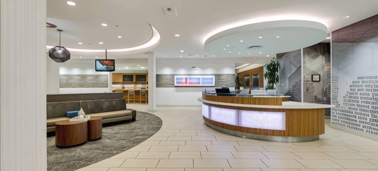 休斯顿伍德兰万豪SpringHill酒店(SpringHill Suites Houston the Woodlands)图片