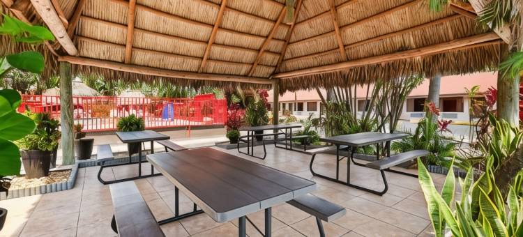 佛罗里达市霍姆斯特德大沼泽地速 8 酒店(Super 8 by Wyndham, Florida City/Homestead/Everglades)图片