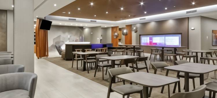 辛辛那提布鲁艾施SpringHill Suites酒店(SpringHill Suites Cincinnati Blue Ash)图片