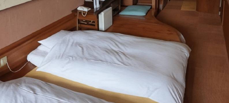 新海花亭泉温泉旅馆(Shin Kaikatei Izumi)图片