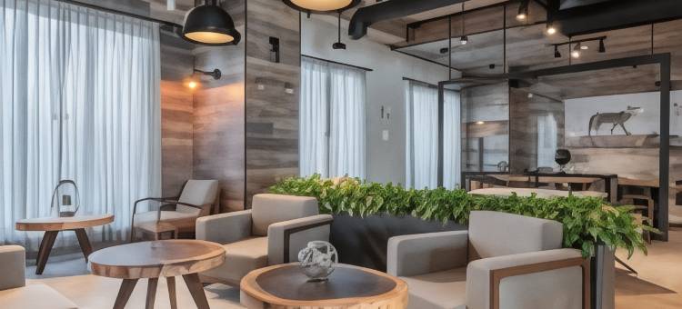 墨西卡利万豪城市快捷普拉斯酒店(City Express Plus by Marriott Mexicali)图片