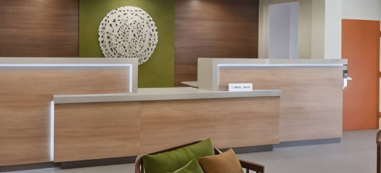 亚特兰大麦克多诺万枫套房酒店(Fairfield Inn & Suites Atlanta McDonough)图片