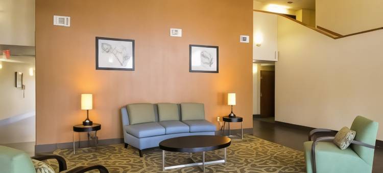 法尔美洲佳价旅馆(Americas Best Value Inn Pharr)图片