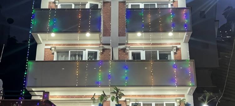 波光粼粼龟背包客青年旅馆(The Sparkling Turtle Backpackers Hostel)图片