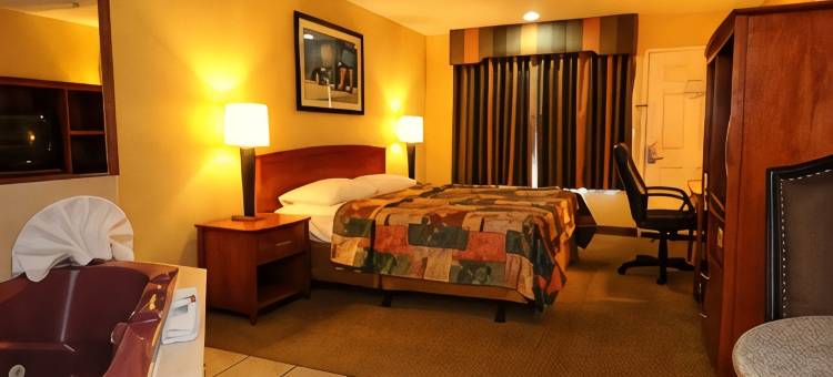 棕榈花园贝斯特韦斯特酒店(Best Western Palm Garden Inn)图片