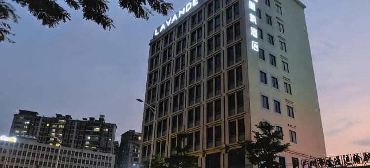 麗枫酒店(广州嘉禾望岗地铁口店)图片