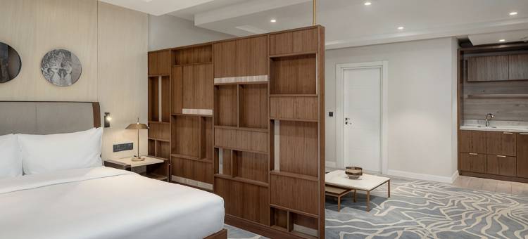 埃尔比勒丽筠酒店(Radisson Hotel & Residences Erbil)图片