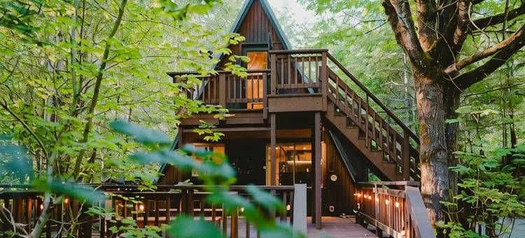 设计师A字形木屋 · 森林热水浴池 · 火盆(Designer A-Frame · Forest Hot Tub · Fire Pit)图片