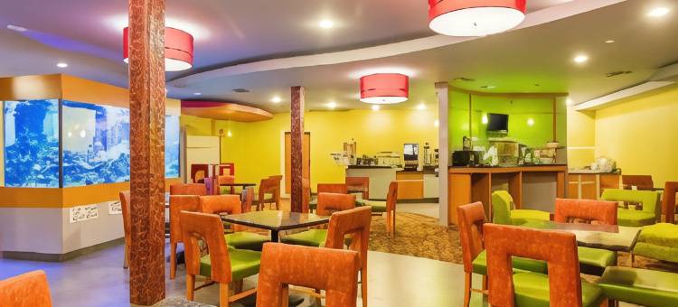 舒适套房酒店-维吉尼亚购物中心(Comfort Suites at Virginia Center Commons)图片