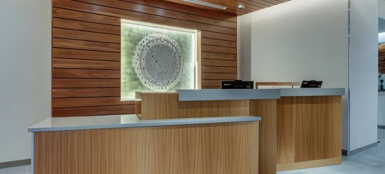 阿什维尔威弗维尔万枫酒店及套房(Fairfield Inn & Suites Asheville Weaverville)图片