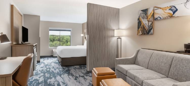 西门购物中心舒适套房酒店(Comfort Suites at WestGate Mall)图片