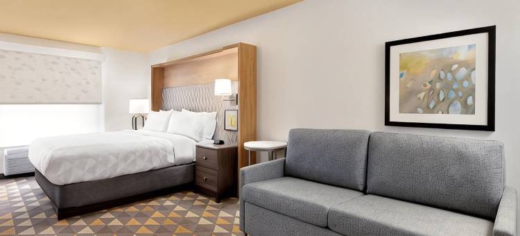 Holiday Inn 休斯顿洲际ARPT(Holiday Inn HOUSTON-INTERCONTINENTAL ARPT by IHG)图片