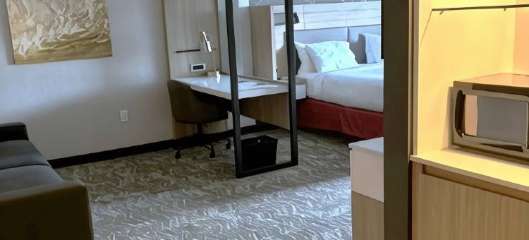 朴茨茅斯汉普顿万豪SpringHill Suites酒店(SpringHill Suites Hampton Portsmouth)图片