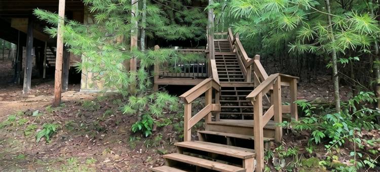 徒步/垂钓、托科阿河；热水浴缸、宠物友好山间木屋(Mountain Cabin Near Hikes/Fishing; Hot Tub, Dog-Friendly, Toccoa River)图片