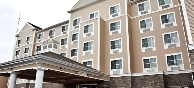 新贝德福德万枫酒店及套房(Fairfield Inn & Suites New Bedford)图片