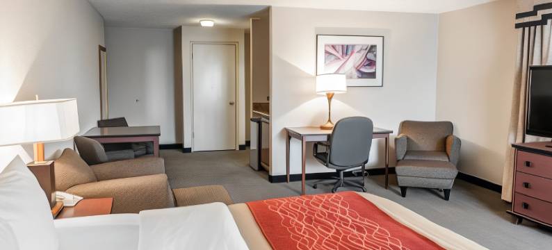 印第安纳波利斯南I-65舒适酒店(Comfort Inn Indianapolis South I-65)图片