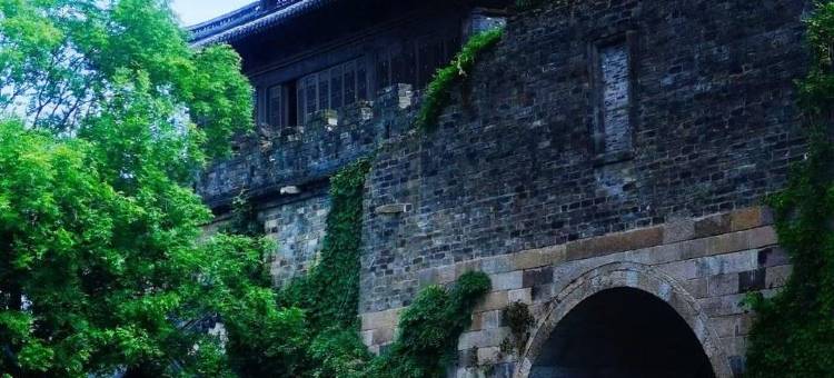 古树驿居(盐官潮乐之城店)图片