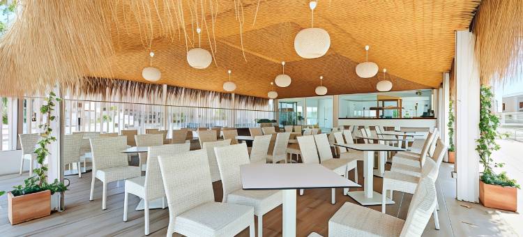 Alua Boccaccio图片