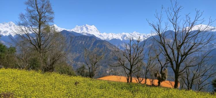 OM the Divine Soul of Devbhumi图片