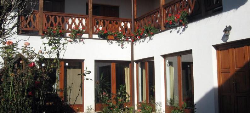 Julia Vendeghaz图片