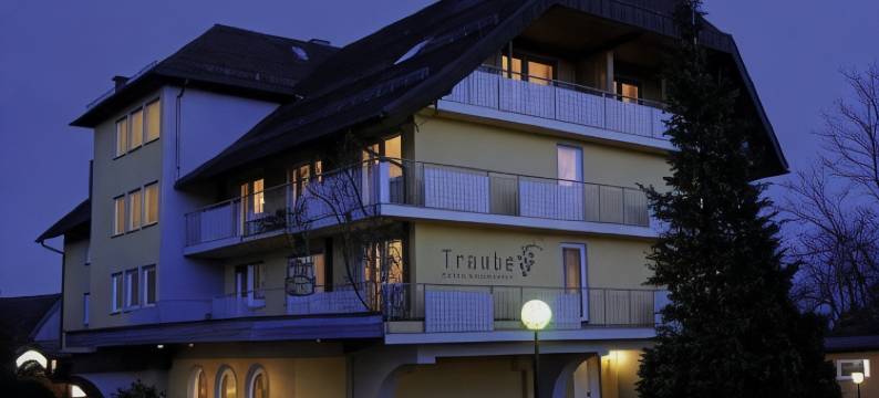 鲁斯堡图伯酒店(Hotel Traube Lossburg)图片