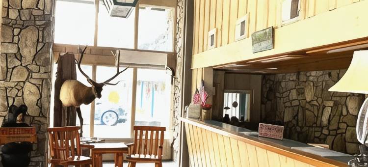 河畔新发现小屋(Newfound Lodge on the river)图片