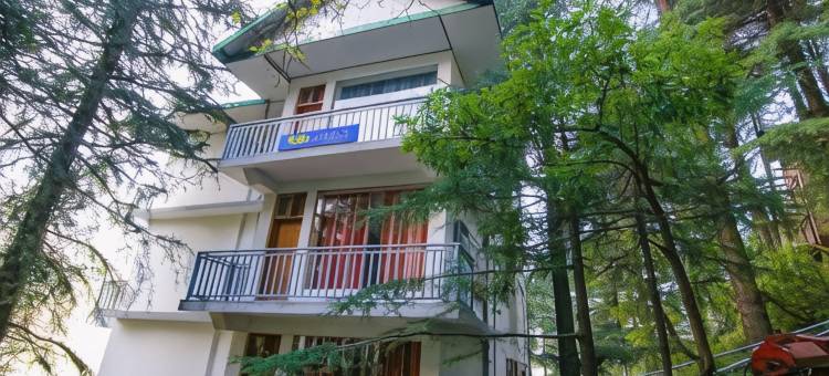 白水旅馆(White Water Inn Mcleodganj)图片