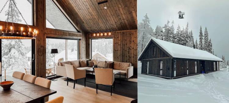 Modern Mountain Cabin - Sauna - 5 Bedrooms - Sleeps for 10图片