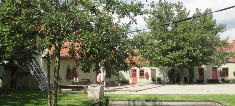 佐特克斯住宿加早餐旅馆(B&B de Zoete Kers)图片