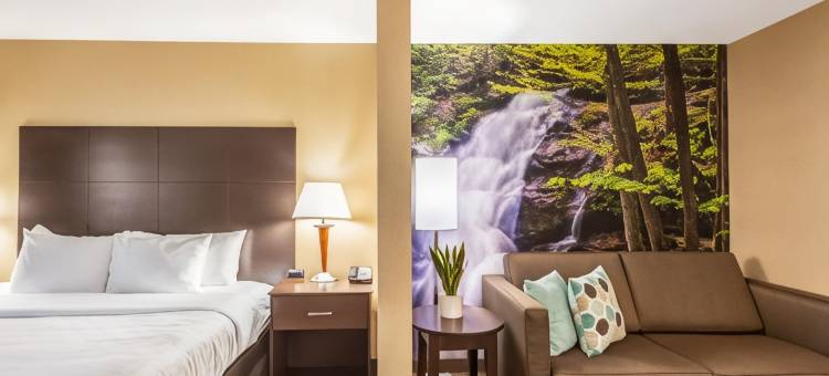 哈利森凯隆波因特酒店(Clarion Pointe Harrisonburg)图片