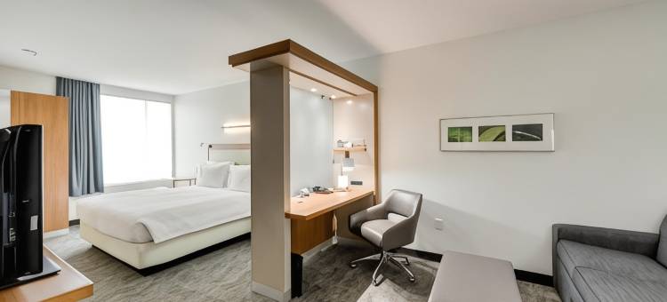 休斯顿伍德兰万豪SpringHill酒店(SpringHill Suites Houston the Woodlands)图片