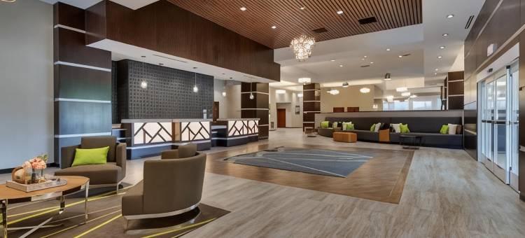 达拉斯理查森德鲁里广场酒店(Drury Plaza Hotel Dallas Richardson)图片