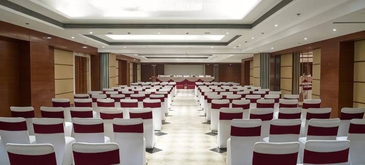 阿格拉宫殿PL酒店(The P L Palace Agra)图片