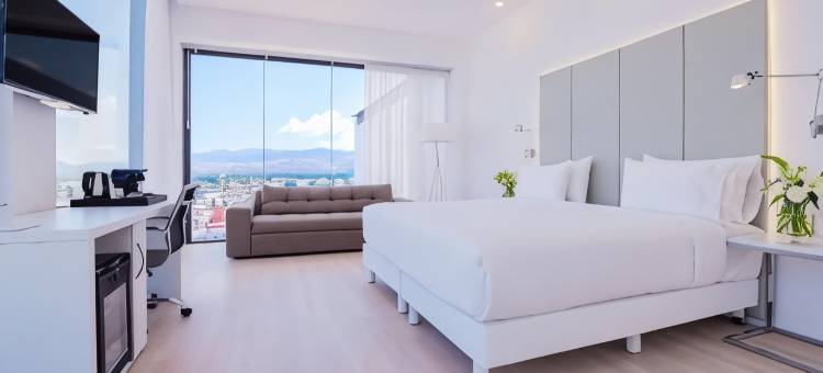 NH酒店-圣路易斯波托西(NH San Luis Potosi)图片