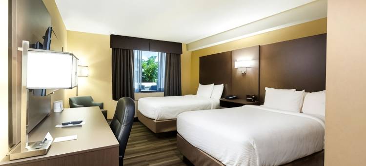 福尔斯维尤戴斯酒店(Days Inn by Wyndham Fallsview)图片