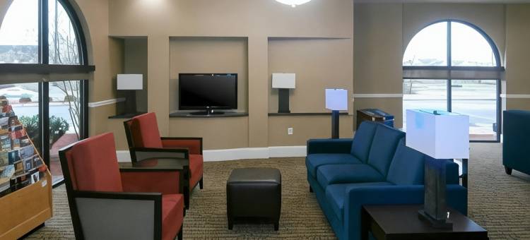 舒适套房酒店(Comfort Suites Smyrna)图片