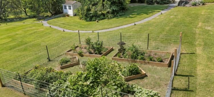 史提客栈马诺酒店(Steeles Tavern Manor)图片