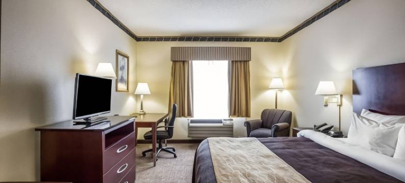 杰克逊堡梅因盖特舒适套房酒店(Comfort Inn & Suites FtJackson Maingate)图片