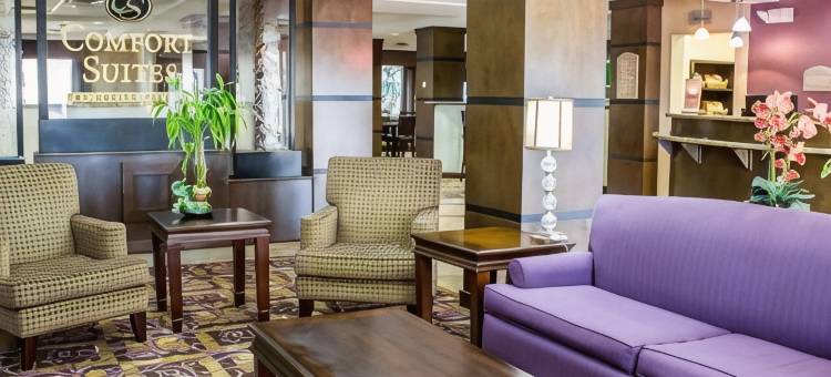 舒适套房酒店(Comfort Suites)图片