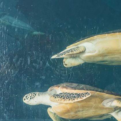 惠东4日3晚私家团