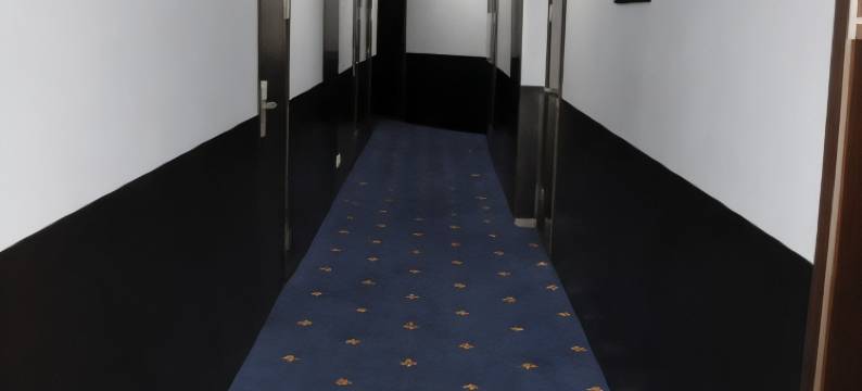 联盟酒店(Soyuz Mini-Hotel)图片