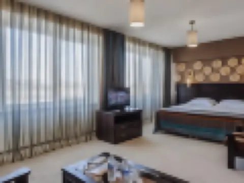 精緻套房