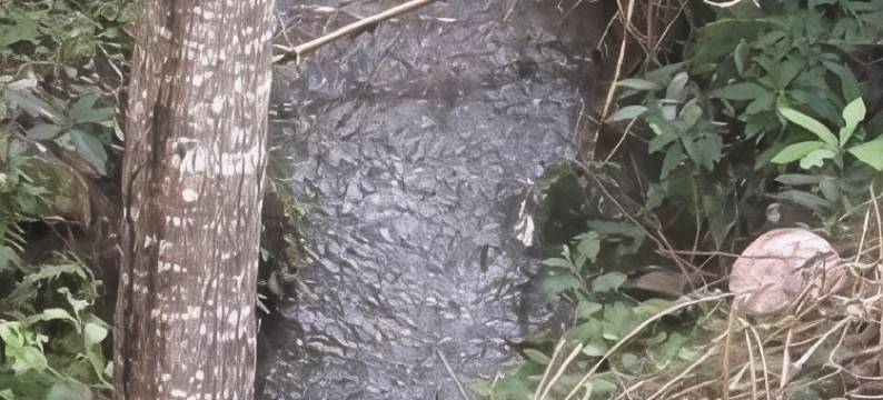 NJK公寓(Njk Residency)图片