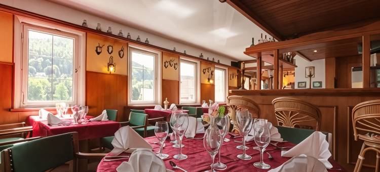 施米茨费尔登库尔酒店(Hotel Kull Von Schmidsfelden)图片
