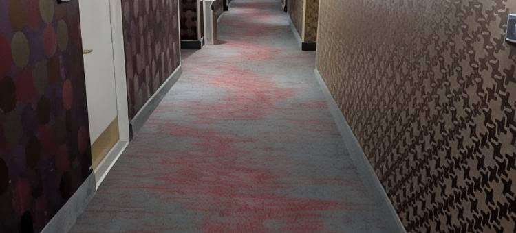 东奥兰治华美达酒店(Ramada by Wyndham East Orange)图片
