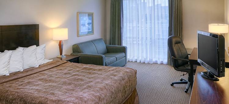 希尔顿欢朋蒙特利尔东安茹酒店(Hampton Inn by Hilton Montreal East Anjou)图片