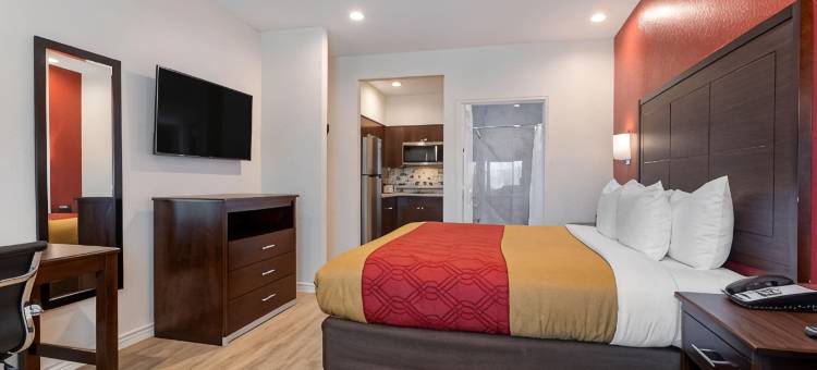 休斯顿西北 - 塞浦路斯伊克诺旅馆(Econo Lodge Houston Northwest - Cypress)图片