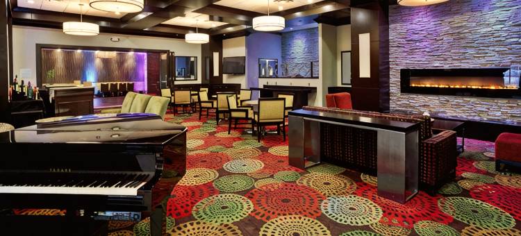 Holiday Inn & Suites 芝加哥西北 - 埃尔金(Holiday Inn & Suites CHICAGO NORTHWEST - ELGIN by IHG)图片