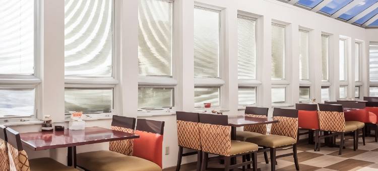 舒适酒店-费拉格尔斯塔夫幸运巷I-40(Comfort Inn Flagstaff Lucky Lane I-40)图片